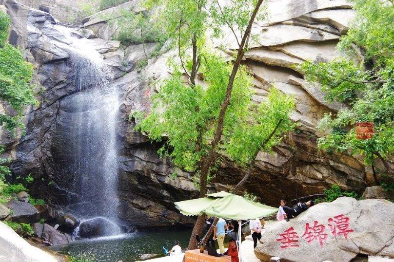 杨瀚森11+10陈盈骏15+8+10 广州终结青岛4连胜